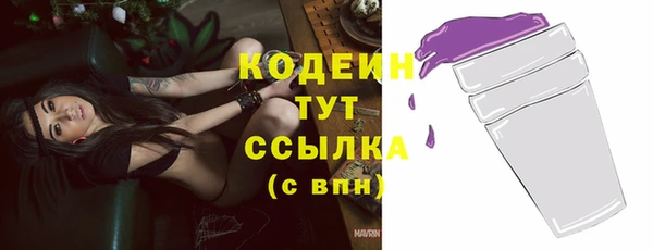 дмт Абаза