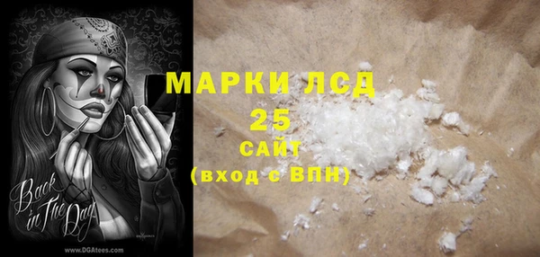 стаф Алексин