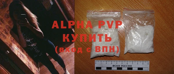 стаф Алексин