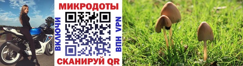 Галлюциногенные грибы Magic Shrooms  Людиново 